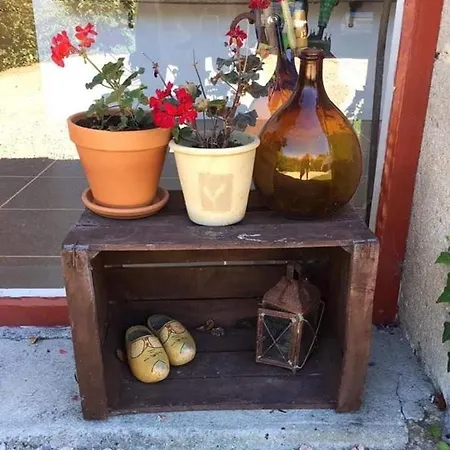 Combrailleurs 公寓 Espinasse (Puy-de-Dome)